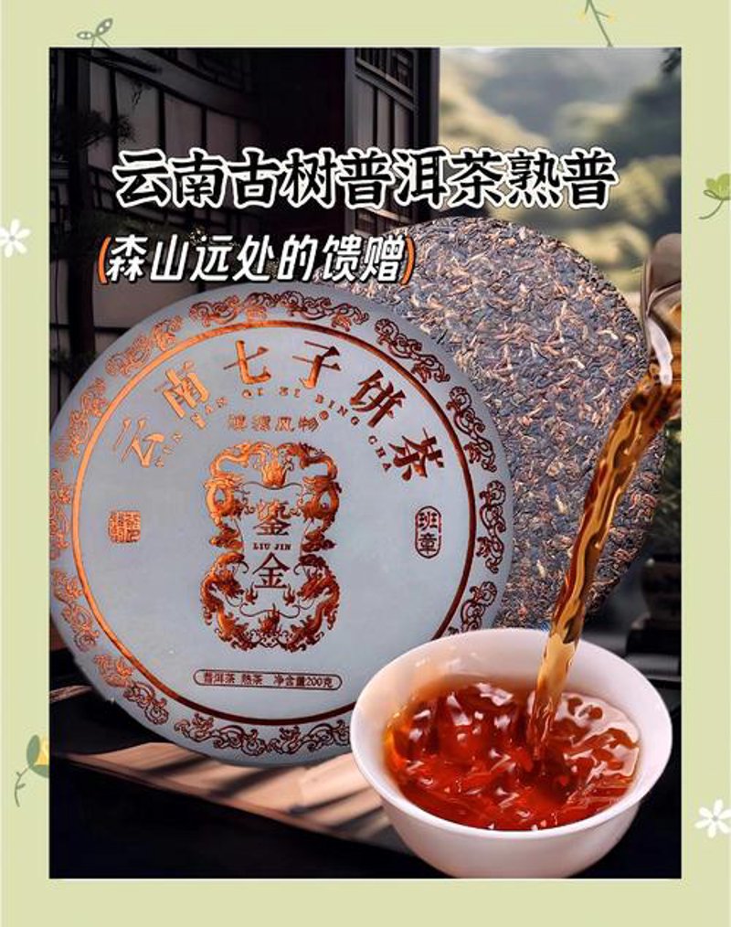 古树茶选购指南：品味自然的味道